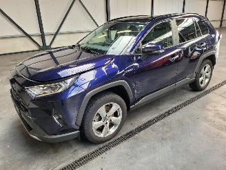 Sloopauto Toyota Rav-4 Hybrid 2.5 131-KW Automaat 2-WD Panoramadak 2019/1