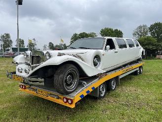demontáž osobní automobily Lincoln Excalibur LIMOUSINE V8 ZEER UNIEK !!! 1995/1