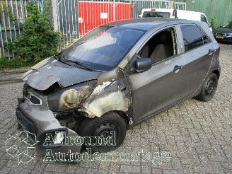 Voiture accidenté Kia Picanto Picanto (TA) Hatchback 1.0 12V (G3LA) [51kW]  (05-2011/06-2017) 2012