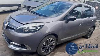 dommages fourgonnettes/vécules utilitaires Renault Scenic Scenic III (JZ), MPV, 2009 / 2016 2.0 16V CVT 2015/1