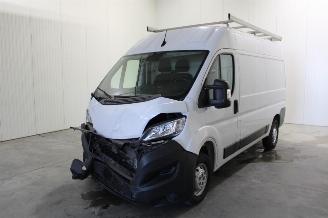 Voiture accidenté Opel Movano  2022/1